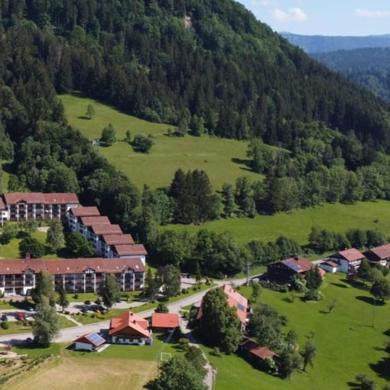 Ferienwohnung Sonnenblume mit Hallenbad und Sauna - Two-Bedroom Apartment - 13