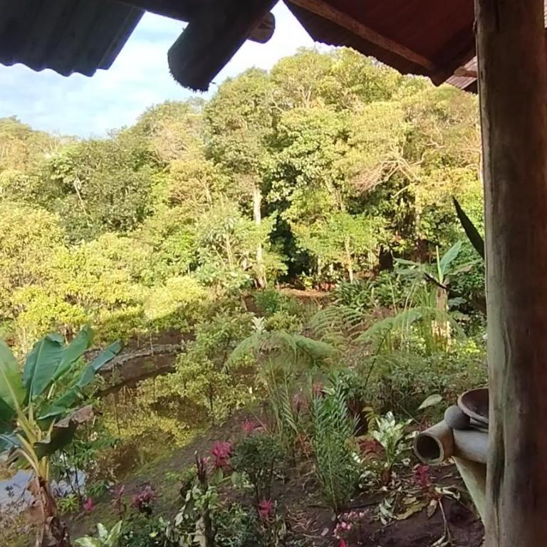 Bed and Breakfast Yantza Tur - Double Room with Garden View - 4