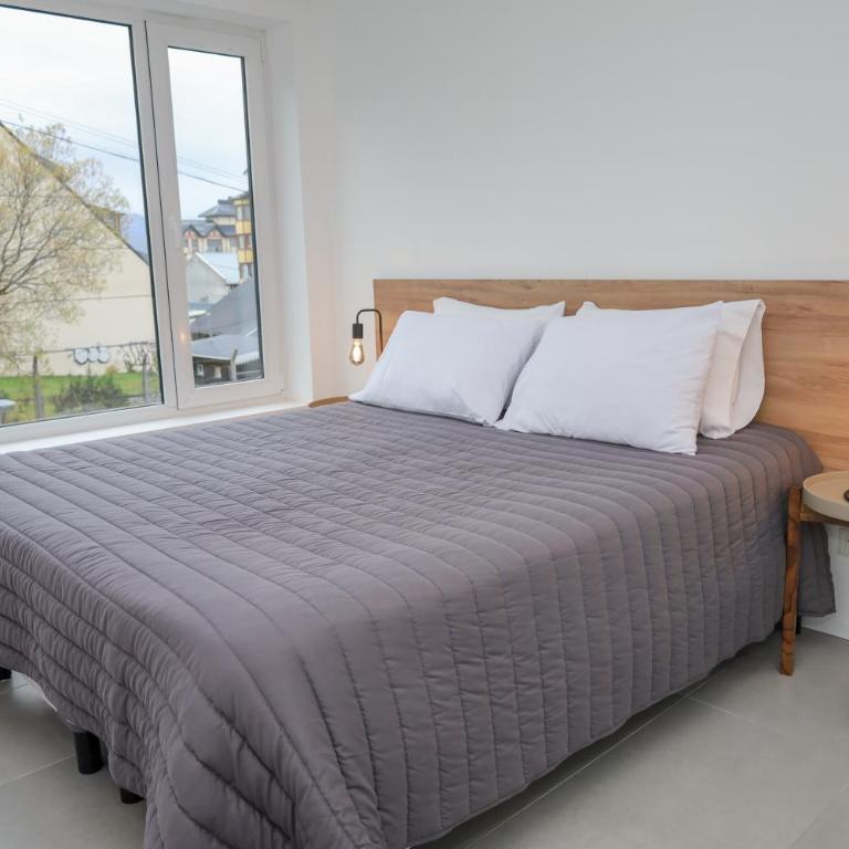 GFS Ushuaia - Apartamento Deluxe de 1 dormitorio con vistas a la ciudad - 16