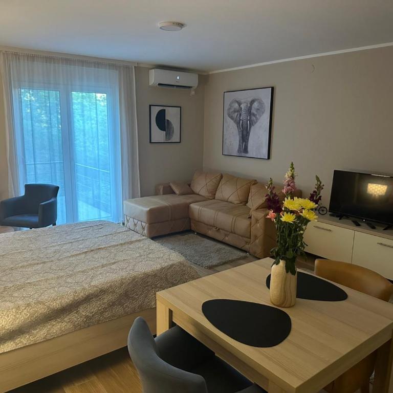 APARTMANI PORTA INFINITAS centar - Deluks Studio - 9