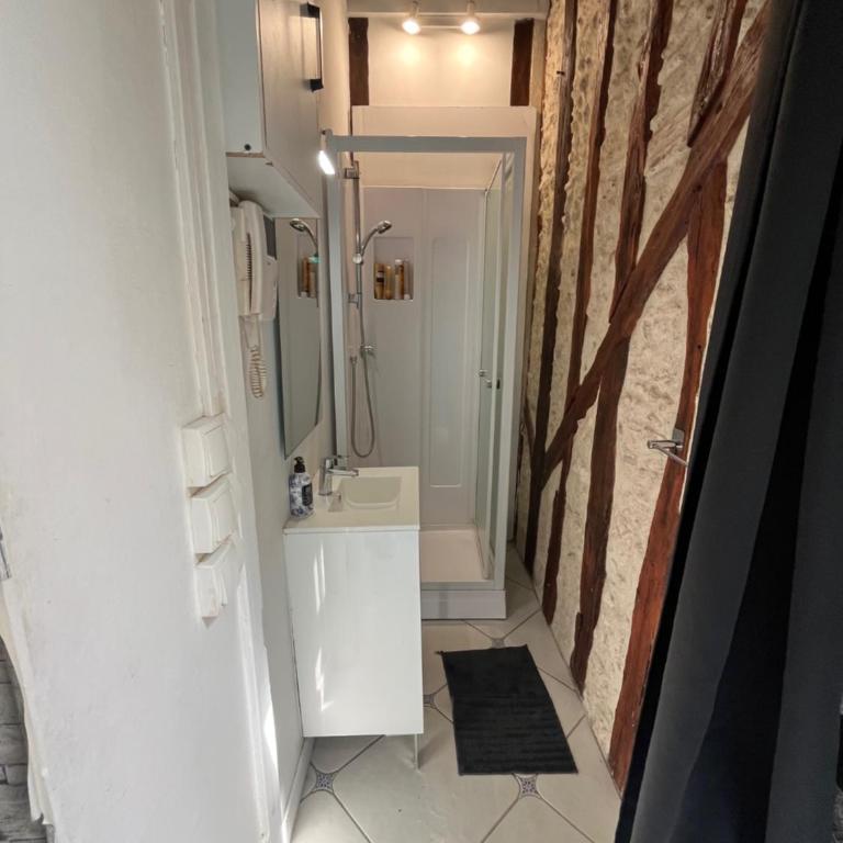 F2 cosy à 2 pas de la cathédrale d Orleans - One-Bedroom Apartment - 5