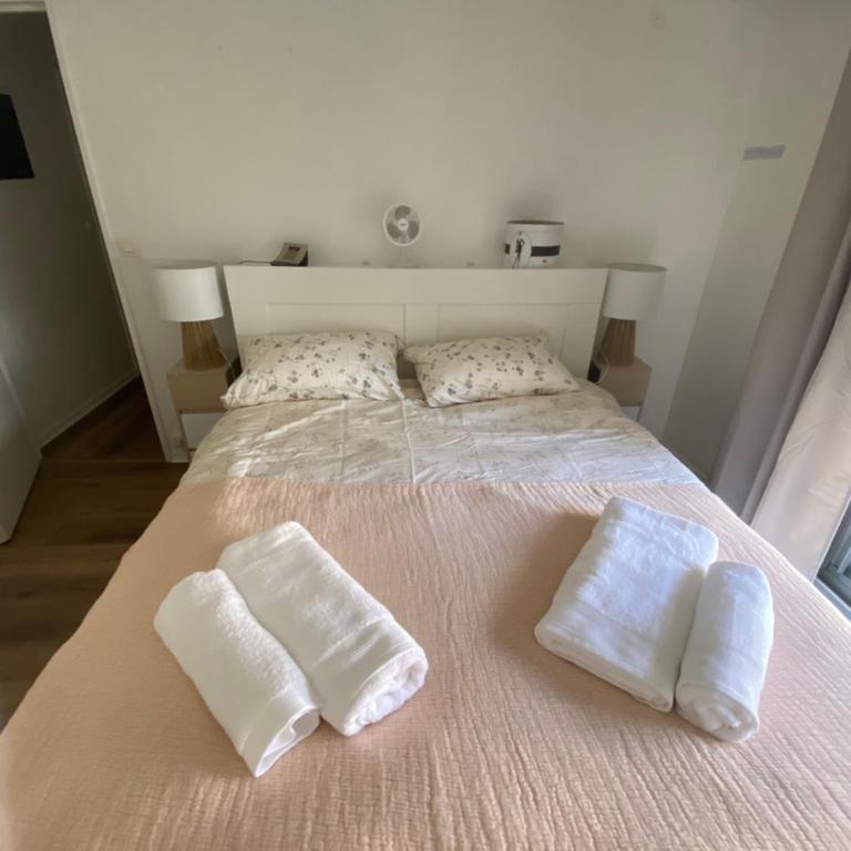 Magnifique appartement dans quartier très prisé beaugrenelle - Appartement - Vue sur Jardin - 10