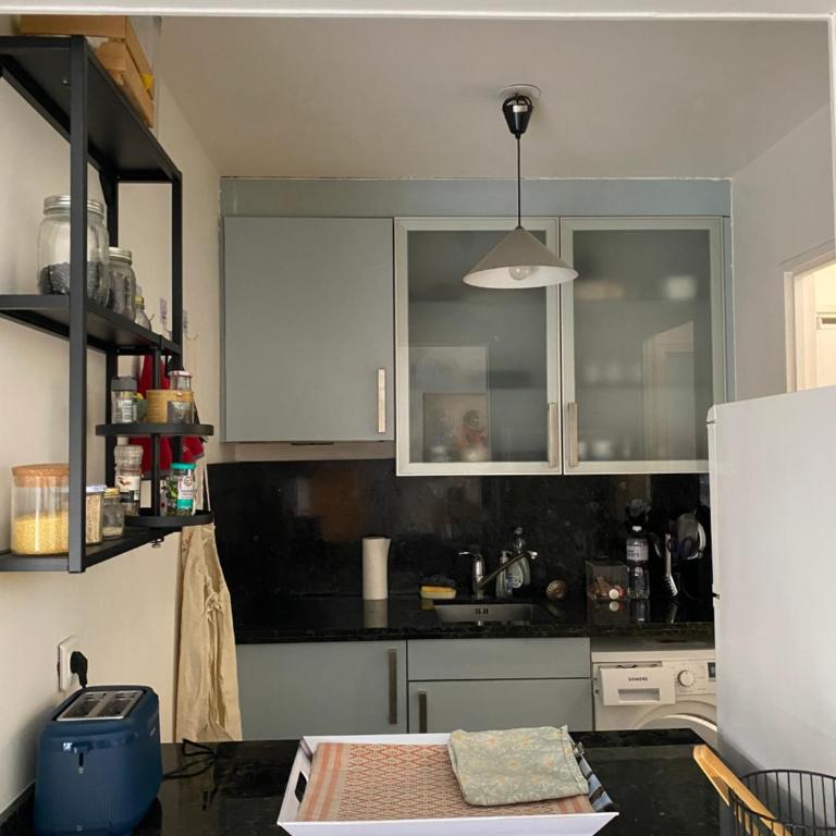 Magnifique appartement dans quartier très prisé beaugrenelle - Appartement - Vue sur Jardin - 11