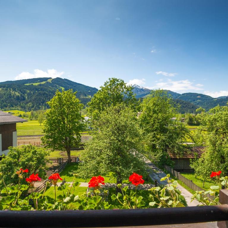 Obersulzberggut - Apartamento (4 adultos) - 3