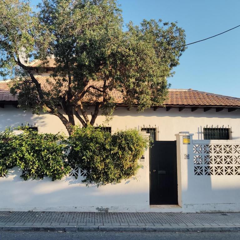 La Busa, un hogar en la playa - Casa de 2 dormitorios - 39