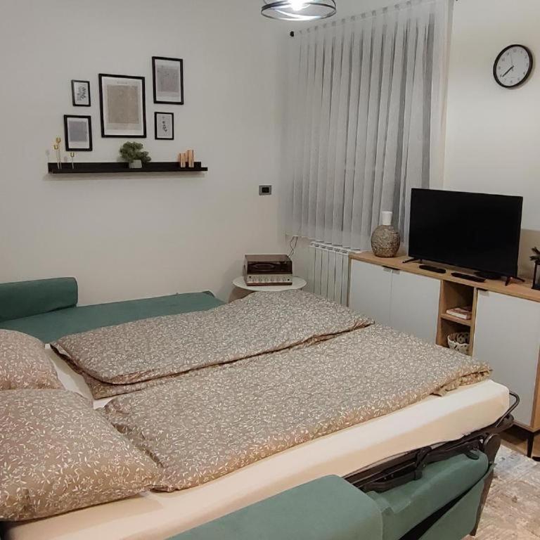 Panonika Tuzla - Apartman sa 1 Spavaćom Sobom - 4
