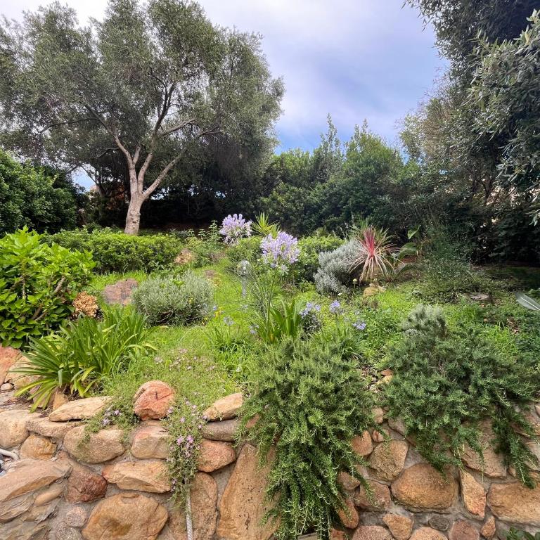 Villa Sardinia Seaview&SPApool - Villa with Sea View - 77