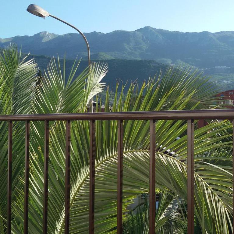 Studio Apartments 6 Palmi - Standardni Studio Apartman sa Balkonom - 10