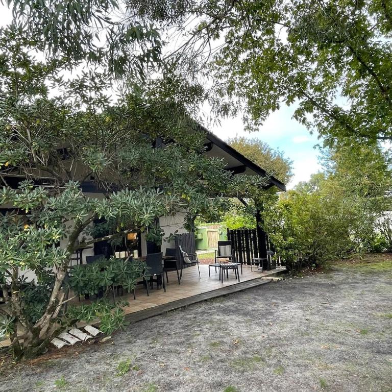 Ideal house for family vacations, peaceful setting - Maison 4 Chambres - 7
