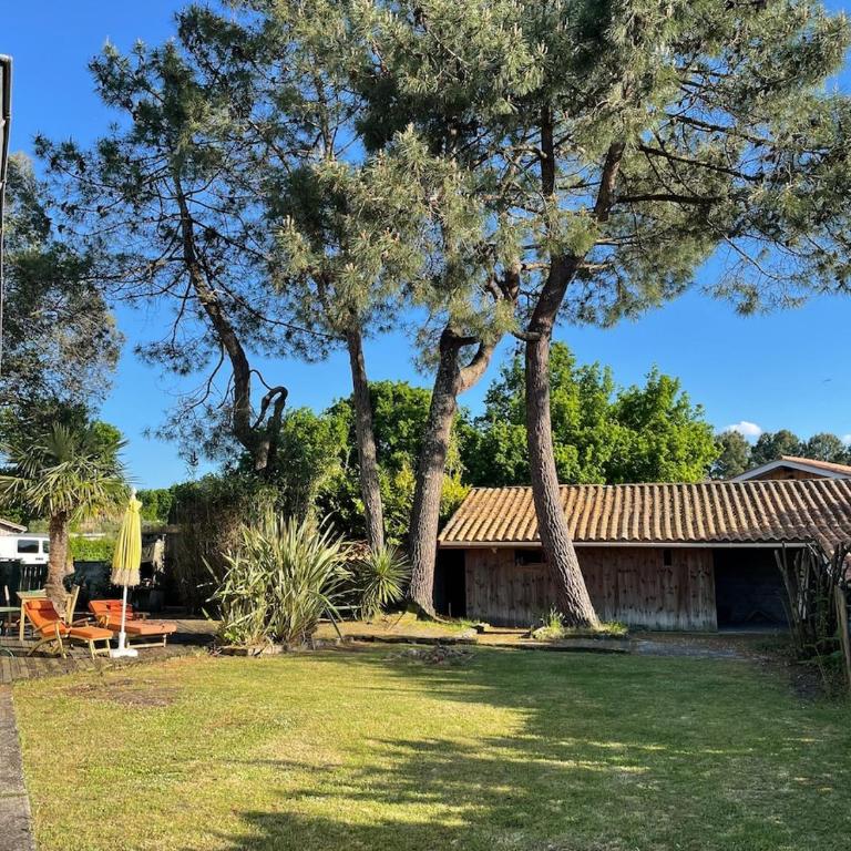 Ideal house for family vacations, peaceful setting - Maison 4 Chambres - 9