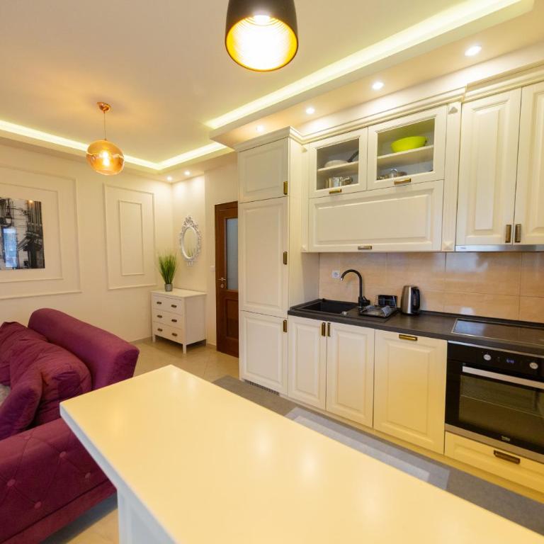 Majestic City Apartments - Apartman s 1 Spavaćom Sobom i Balkonom - 14