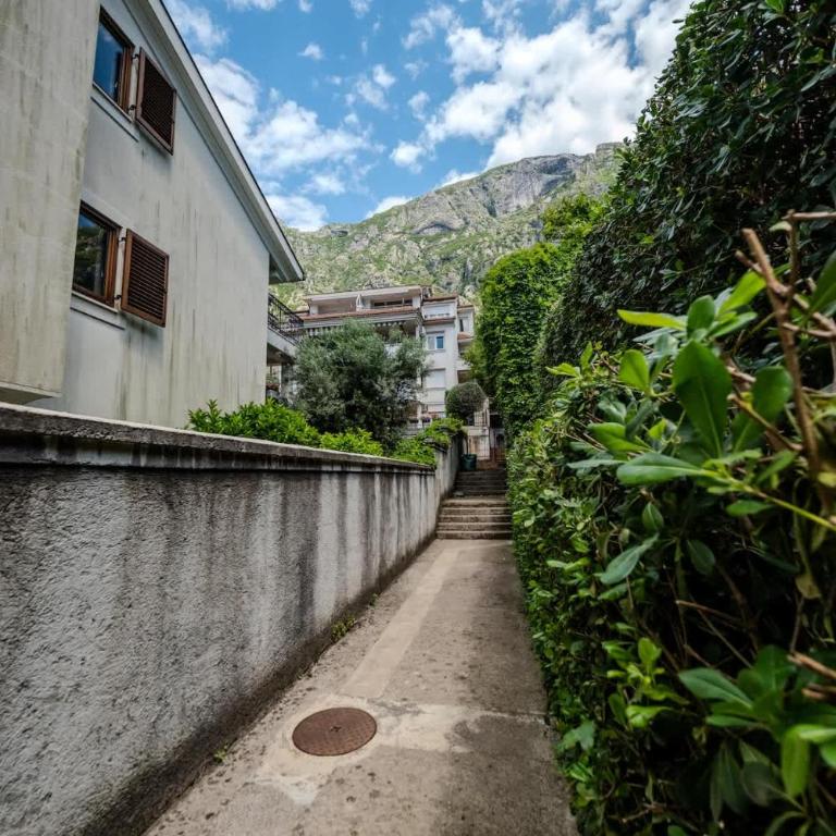 Amazing 2 BR Retreat with Kotor Bay View - Apartment - 46
