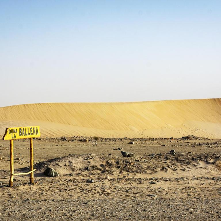 Cabañas Dunas de Fiambalá - Casa de 2 dormitorios - 19