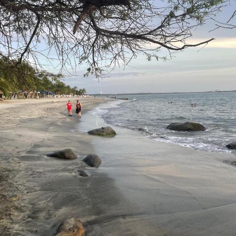 Maranta Beach - One-Bedroom Apartment - 10