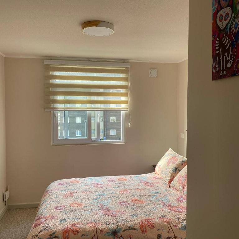 Acogedor Apartamento Valdiviano - Apartamento de 2 dormitorios - 16