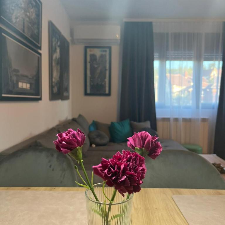 Apartman Zelena laguna - Apartman sa 1 Spavaćom Sobom - 6