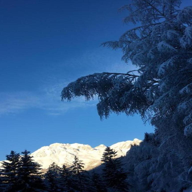 Chalet in Huez near Ski Slope - Superior Chalet - 32