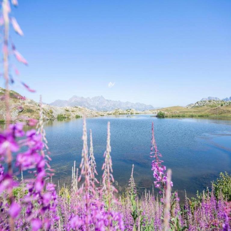 Chalet in Huez near Ski Slope - Superior Chalet - 18