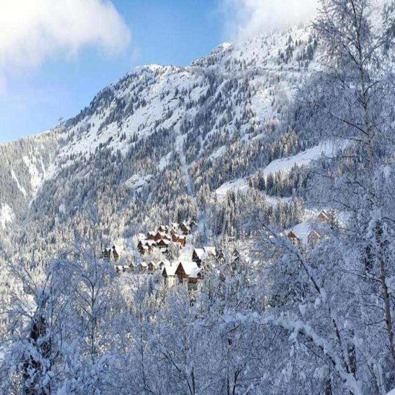 Chalet in Huez near Ski Slope - Superior Chalet - 29