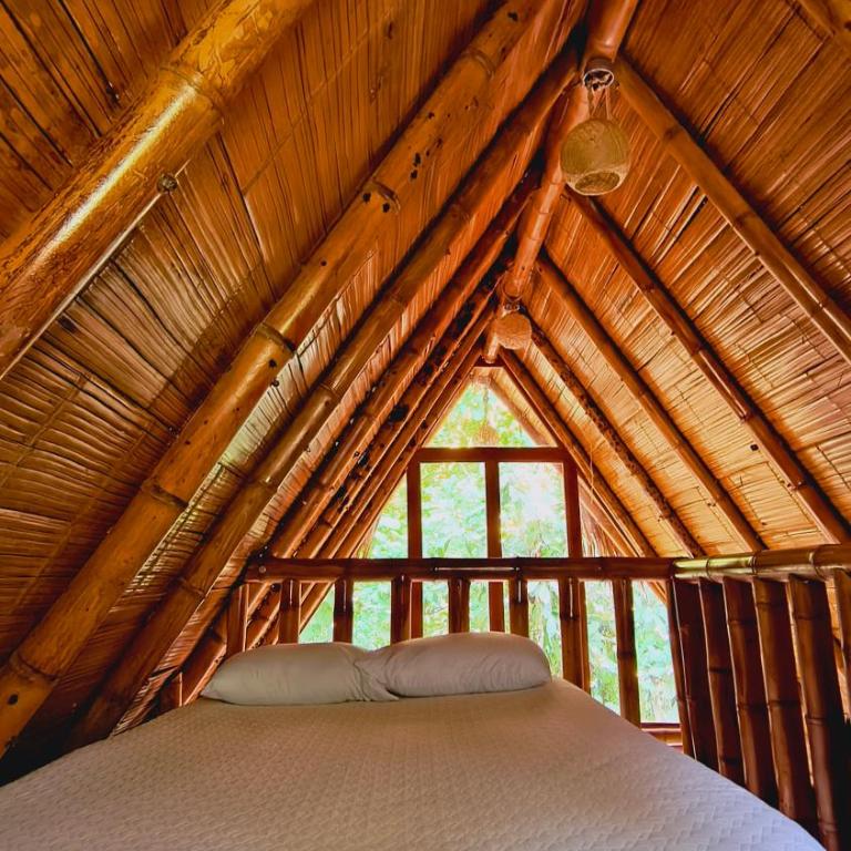 Tiny Houses Unique Tayrona - Dentro del Parque Tayrona - Chalet de 1 dormitorio - 18
