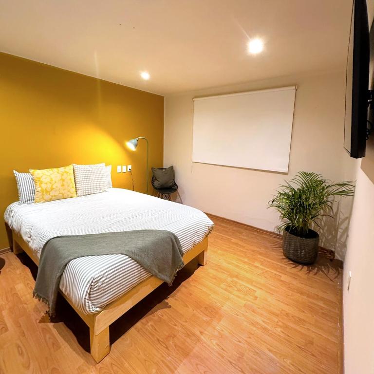 Private room La Americana Chapultepec - One-Bedroom House - 1