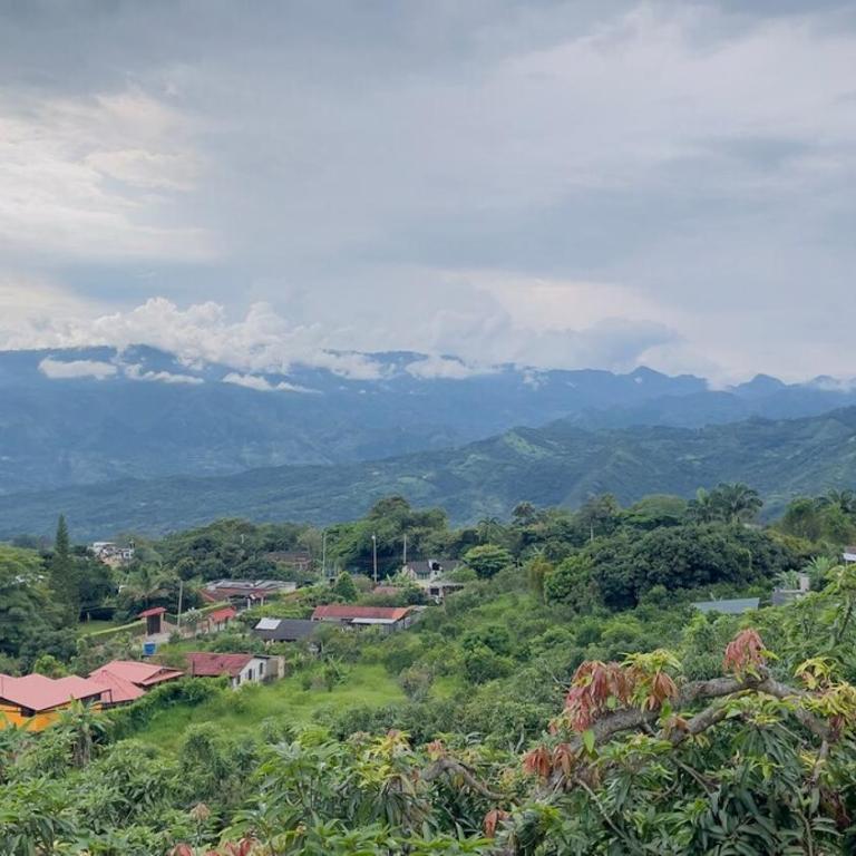 Manzanares Charm and Natural Views - Apartamento de 1 dormitorio - 10