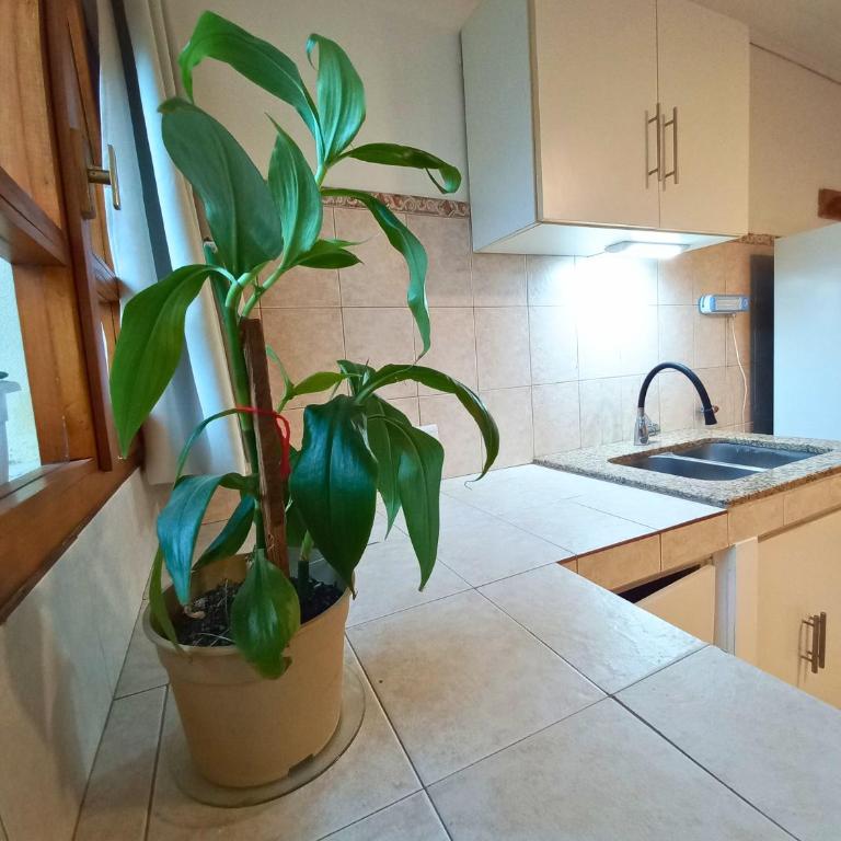 Departamento Mamá Inés - Apartamento de 1 dormitorio - 10