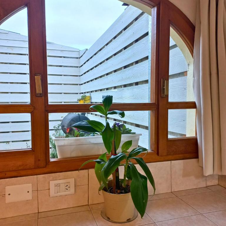 Departamento Mamá Inés - Apartamento de 1 dormitorio - 25