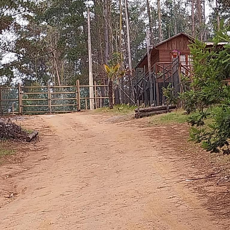 Cabañas Oasis Laguna Verde - Casa de 2 dormitorios - 1
