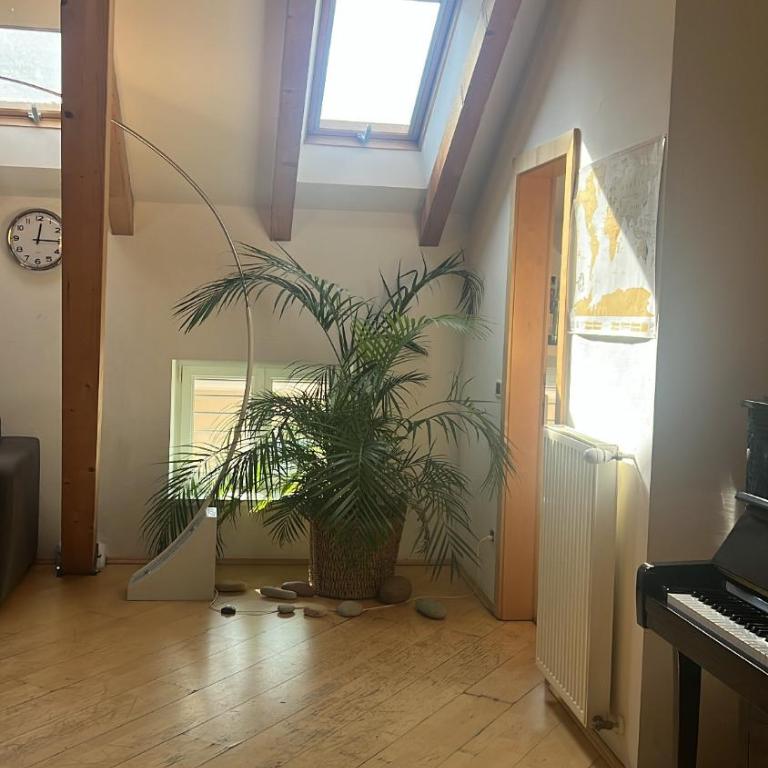Sunflower House - Appartamento con 2 Camere da Letto - 8