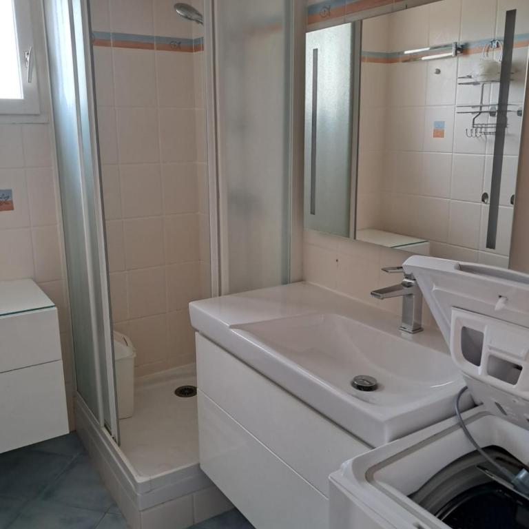 résidence azur 219 appartement T2 climatisé - Appartement 1 Chambre - 8