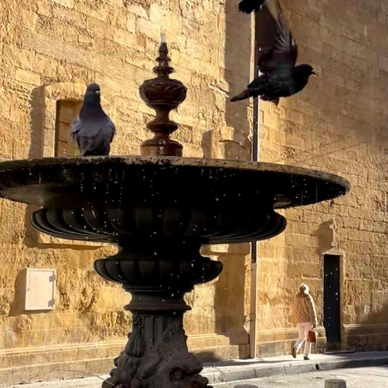Charme et calme au cœur d Aix en provence - Apartamento de 1 dormitorio - 18