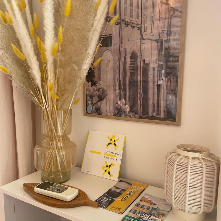 Charme et calme au cœur d Aix en provence - Apartamento de 1 dormitorio - 24