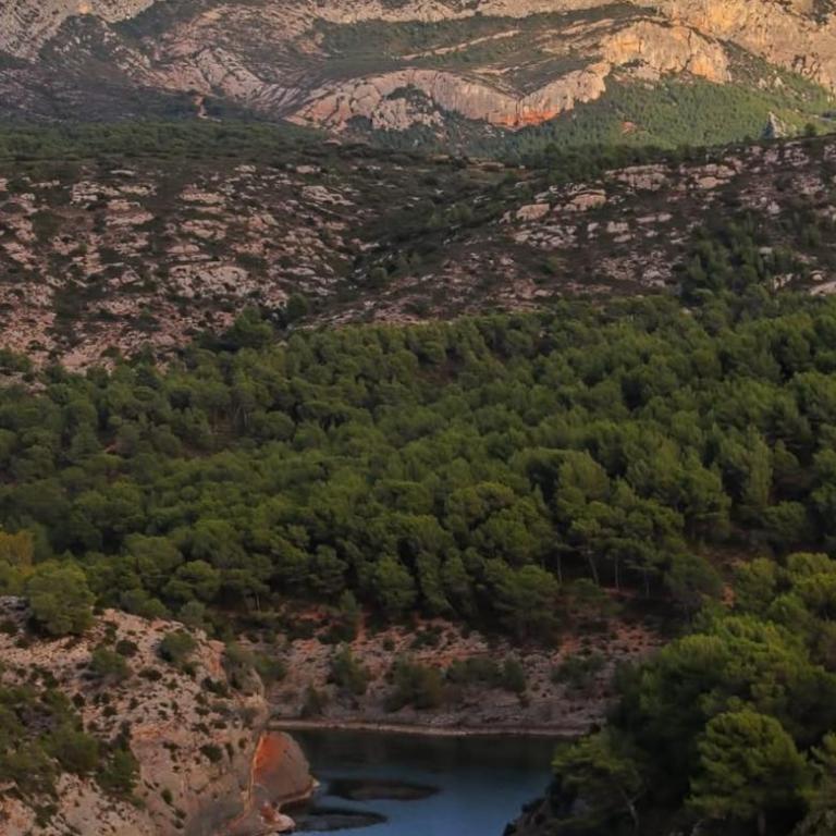 Charme et calme au cœur d Aix en provence - Apartamento de 1 dormitorio - 32