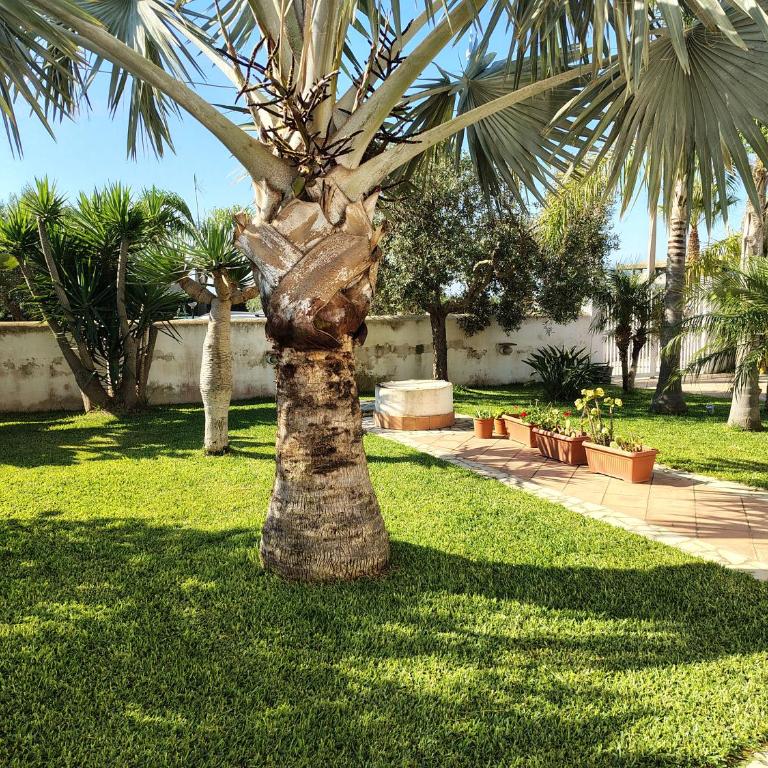 SiciliaGranitola - Casa Vacanze con 3 Camere da Letto - 13