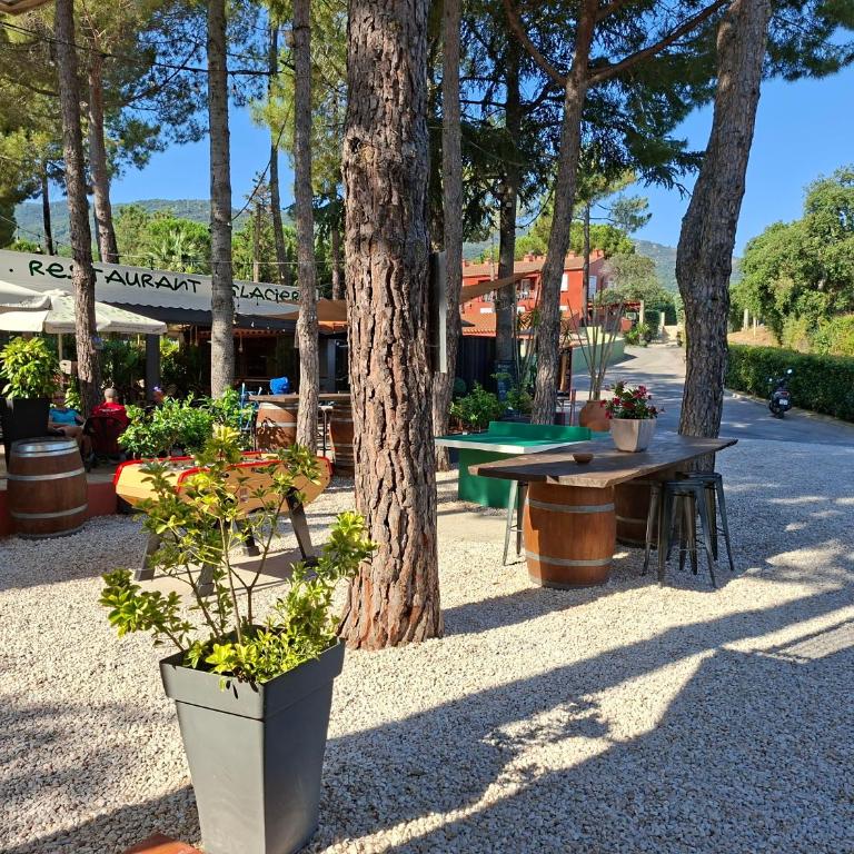Domaine Des Mimosas - Appartement 1 Chambre - 34