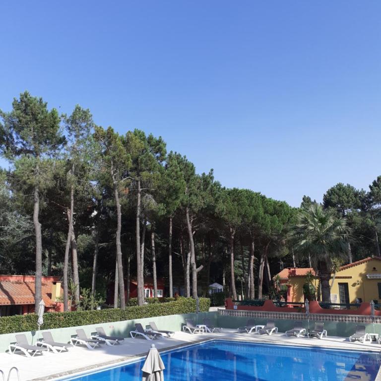 Domaine Des Mimosas - Appartement 1 Chambre - 40
