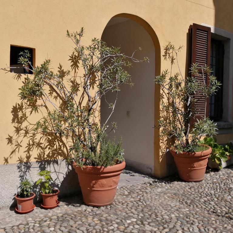 Coloniola34 - One-Bedroom House - 5