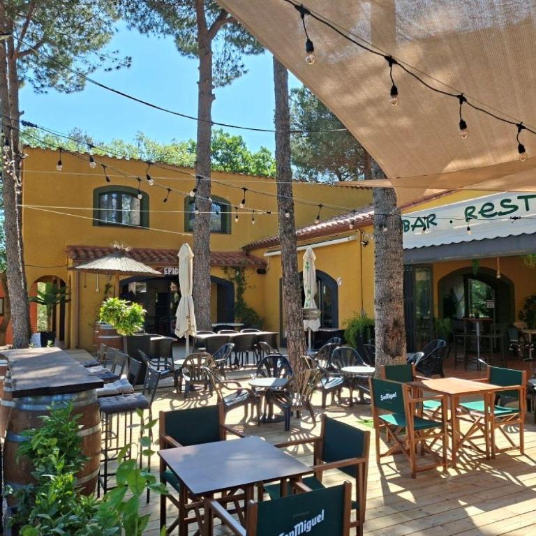 Domaine Des Mimosas - Appartement 1 Chambre - 46