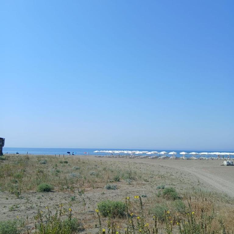 Corner Bungalow - Kuća sa 1 Spavaćom Sobom - 2