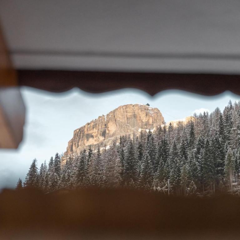 Dolomiti Luxury Mountain View BIKE FRIENDLY - Appartamento Deluxe - 18