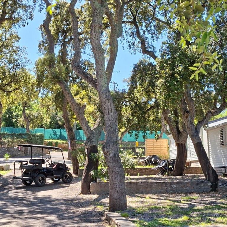 Camping Des Mimosas - Mobile Home 2 Chambres - 34