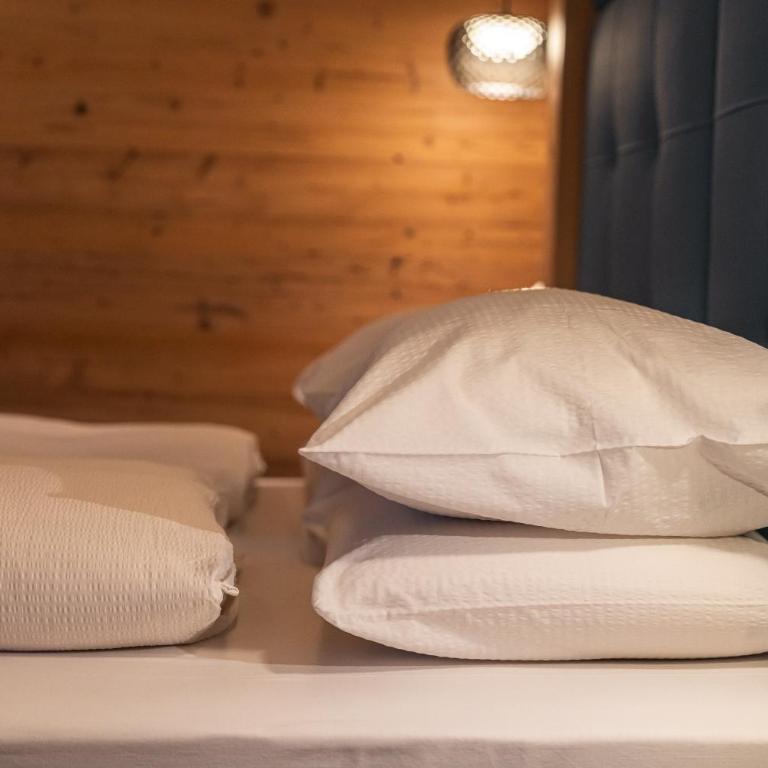 Dolomiti Luxury Mountain View BIKE FRIENDLY - Appartamento Deluxe - 40