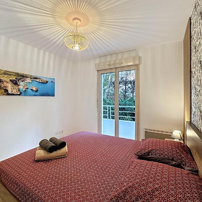 Cosy nid, terrasse & 2 parkings - Appartement 1 Chambre - 12