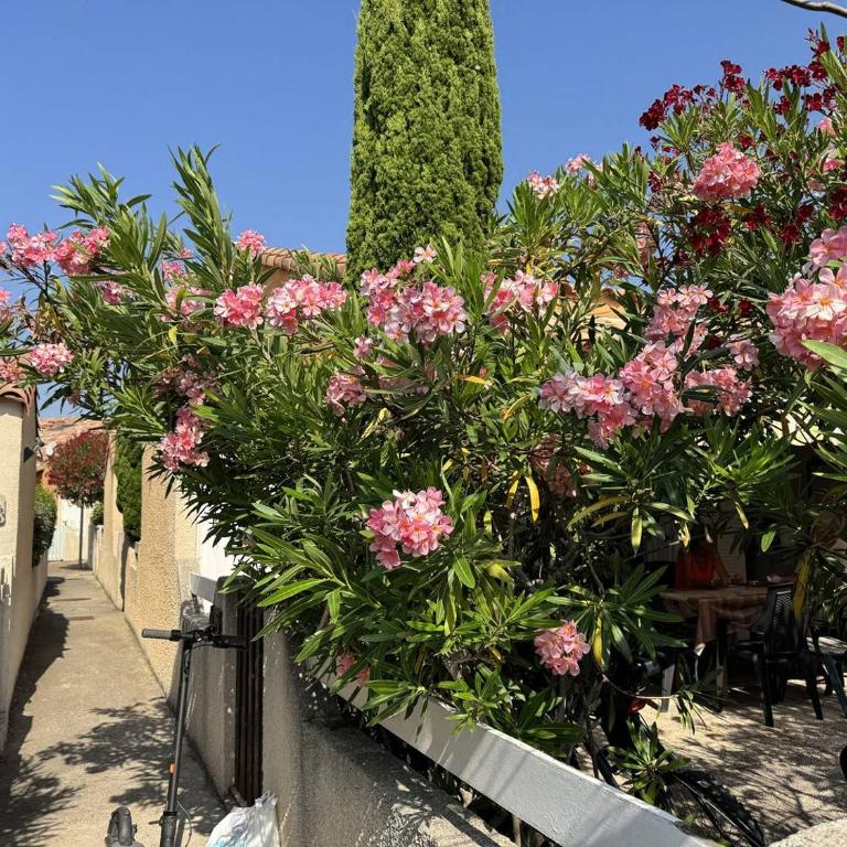 HOLIDAYLAND VILLA 415 T2 MEZZANINE 6 couchages NARBONNE PLAGE - Maisonnette - 2