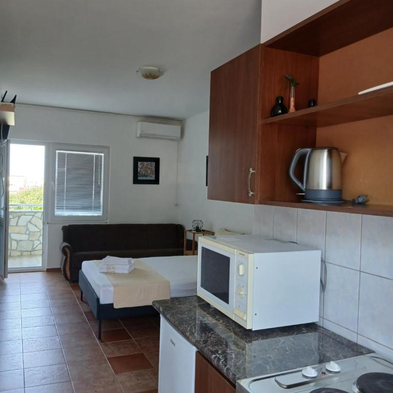 Apartments Vila Kurtagic - Apartment with Terrace - 1