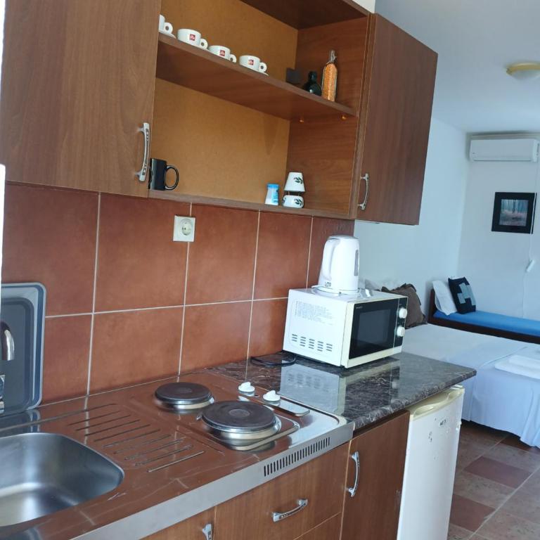 Apartments Vila Kurtagic - Apartment - 17