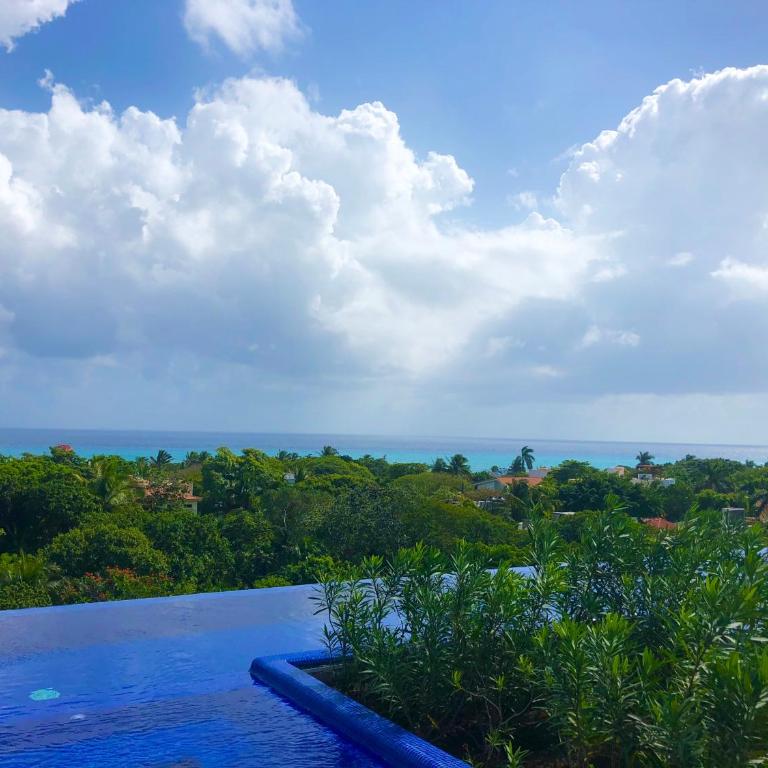 Ocean View Pool in Exclusive Playacar, En-Suite Rooms - Apartamento de 4 dormitorios con balcón - 23