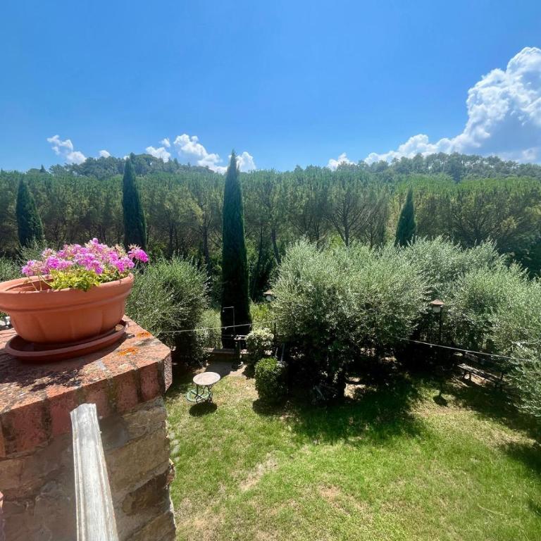 Chianti Villa with Private Park, 2 Apartments & Panoramic Views - Appartamento con 2 Camere da Letto - 8