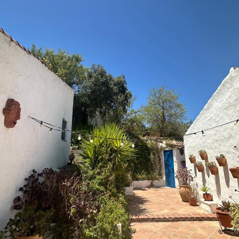 Andalusian holiday cottage La Cuadra - Casa con 1 dormitorio - 25
